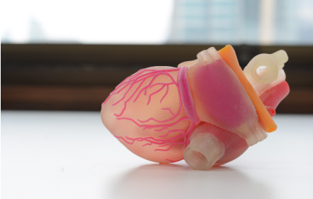 Ricerca per il cuore dei cardipoatici congeniti